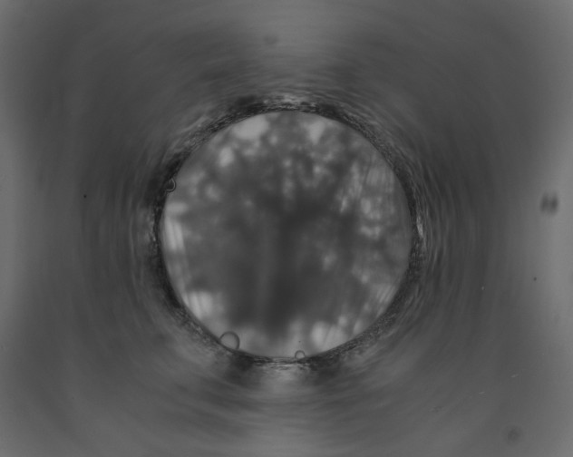 X0000091960711200710041028