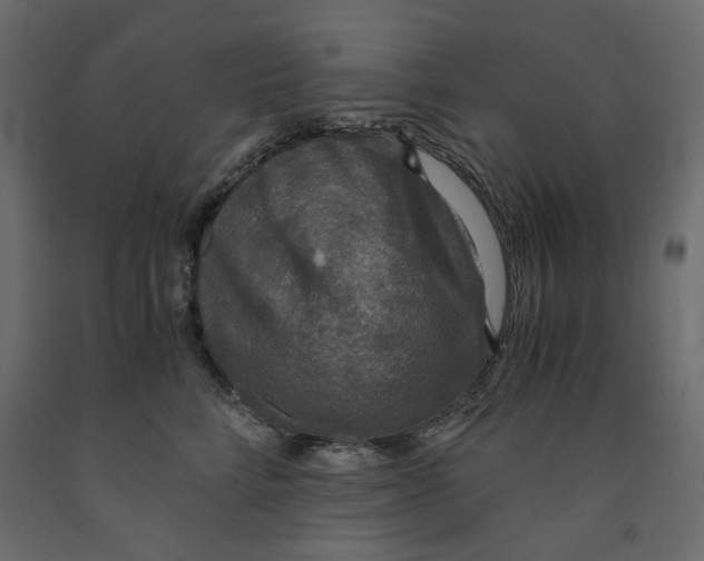 X0000091960712200710041028