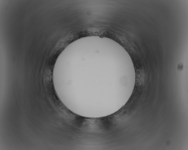 X0000091960713200710041028