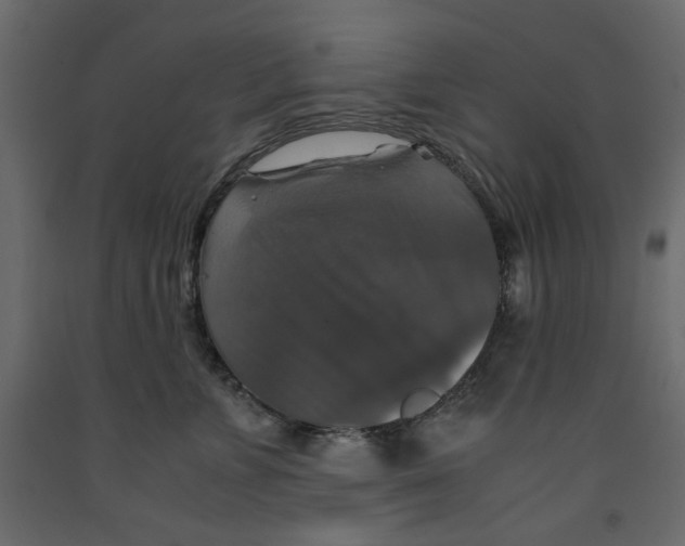 X0000091960715200710041028