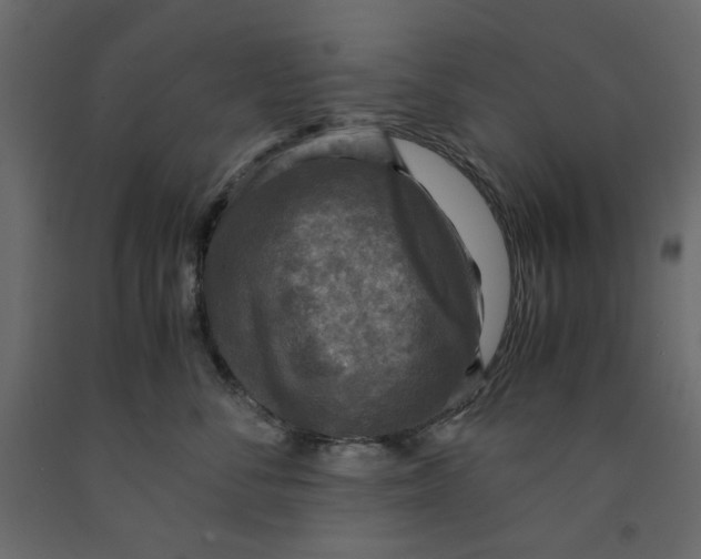 X0000091960716200710041028