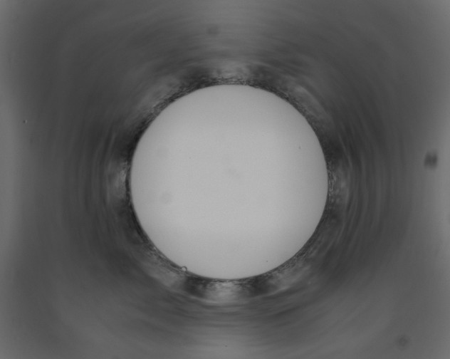 X0000091960717200710041028