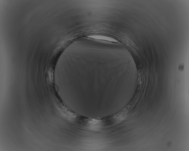 X0000091960718200710041028