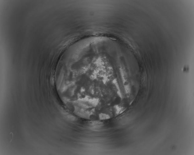 X0000091960719200710041028