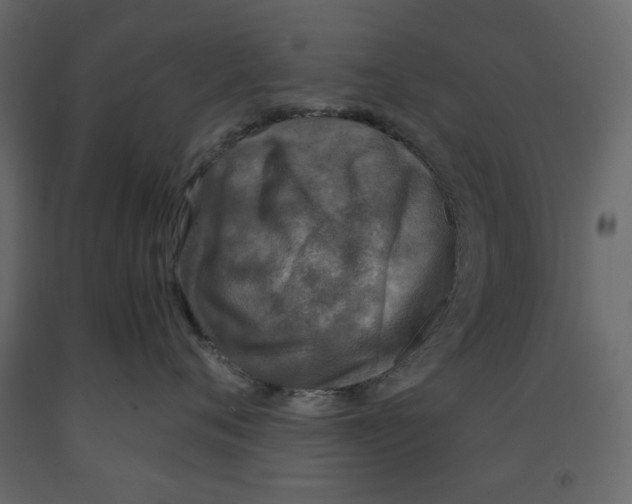 X0000091960720200710041028