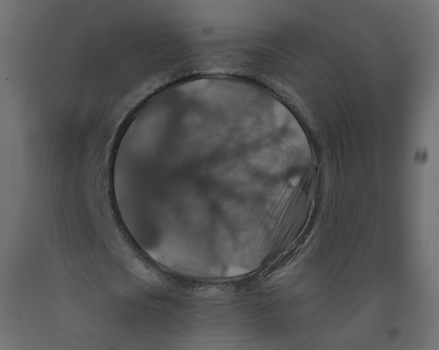 X0000091960721200710041027