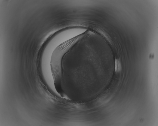 X0000091960723200710041027