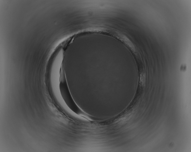 X0000091960724200710041027