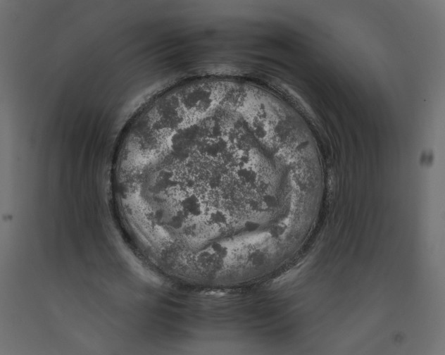 X0000091960725200710041027