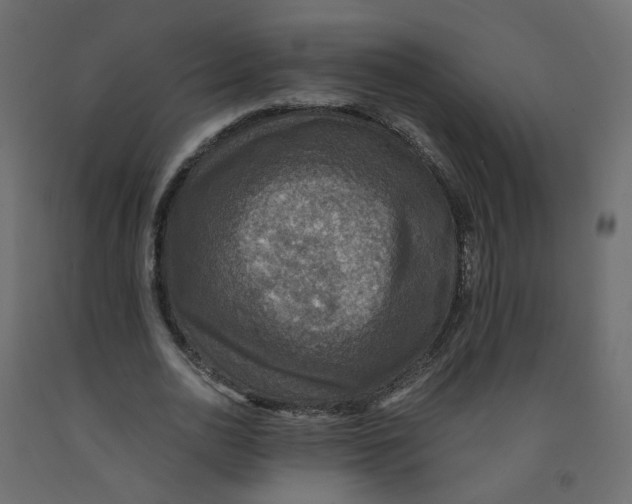 X0000091960726200710041027