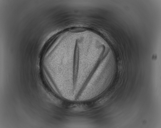 X0000091960727200710041028