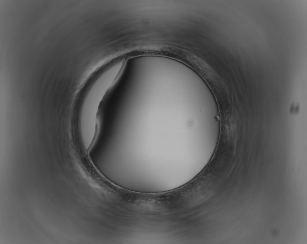 X0000091960728200710041028