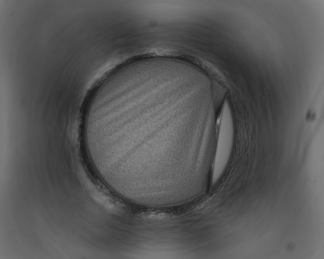 X0000091960730200710041028