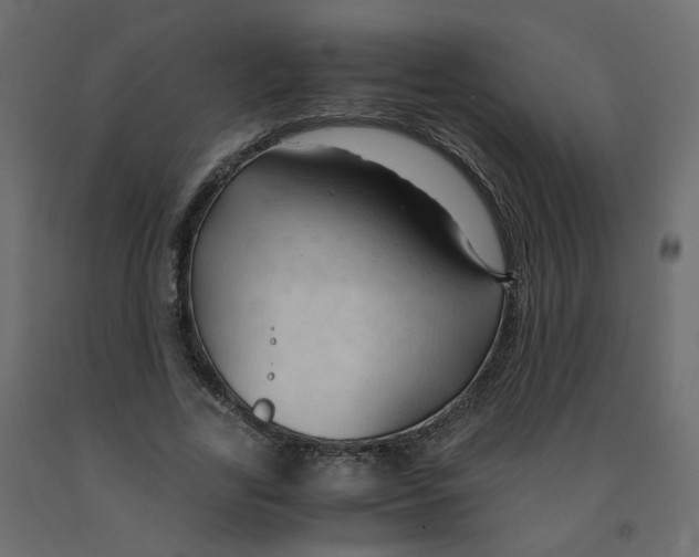 X0000091960731200710041028