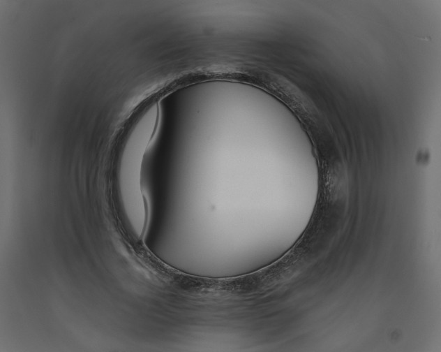 X0000091960732200710041028