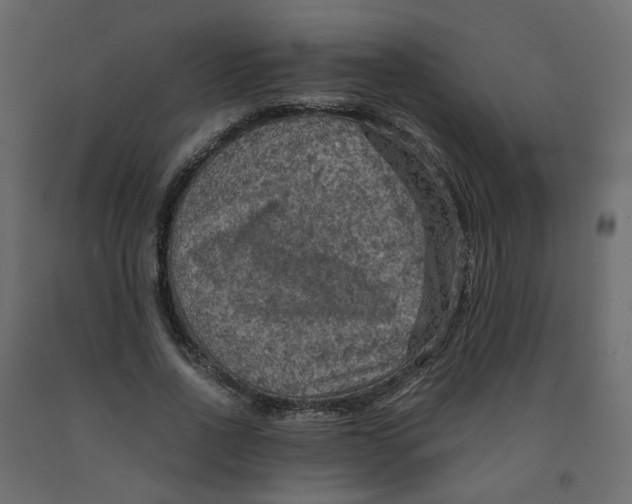X0000091960734200710041028
