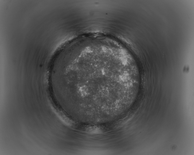 X0000091960735200710041028