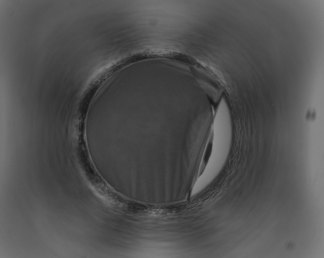 X0000091960736200710041028
