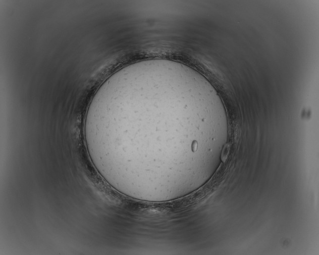 X0000091960737200710041028