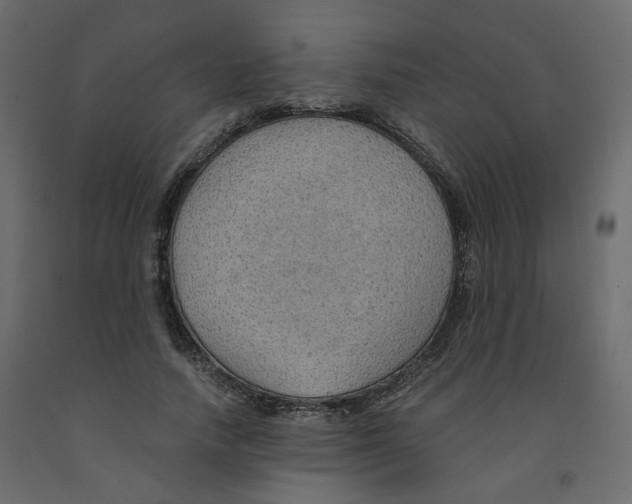 X0000091960738200710041028