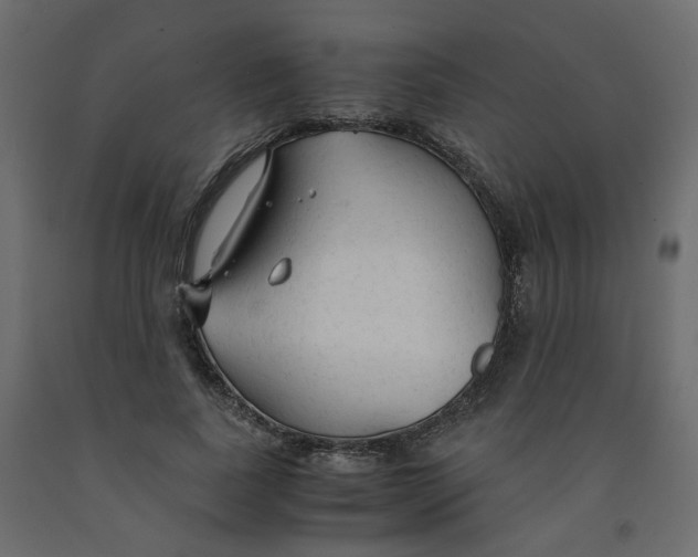 X0000091960739200710041028