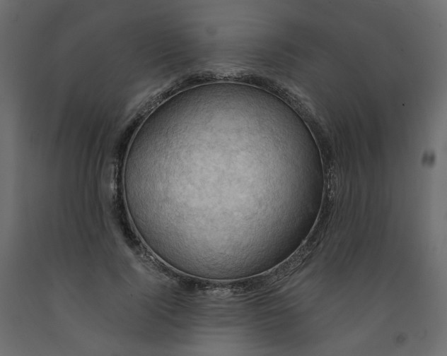 X0000091960740200710041028
