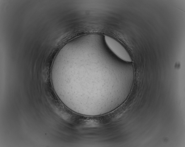 X0000091960741200710041028