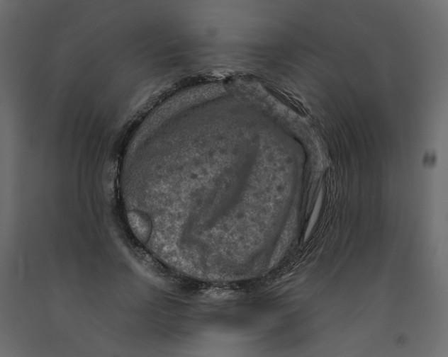 X0000091960742200710041028