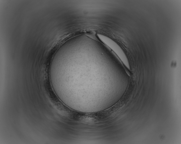 X0000091960743200710041028