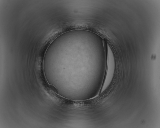 X0000091960744200710041028