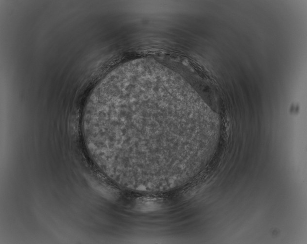 X0000091960745200710041028