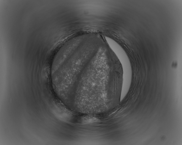 X0000091960747200710041028