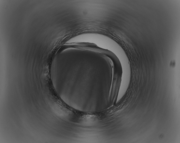 X0000091960748200710041028