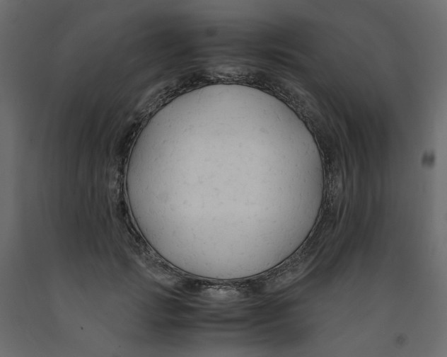 X0000091960749200710041028