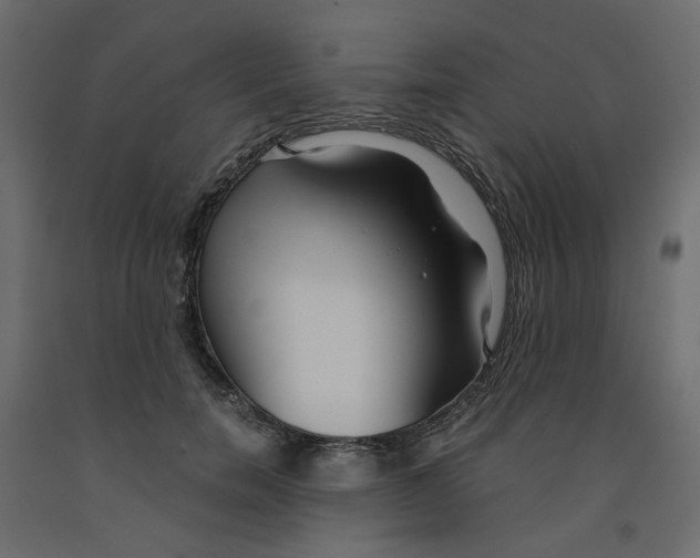 X0000091960750200710041028