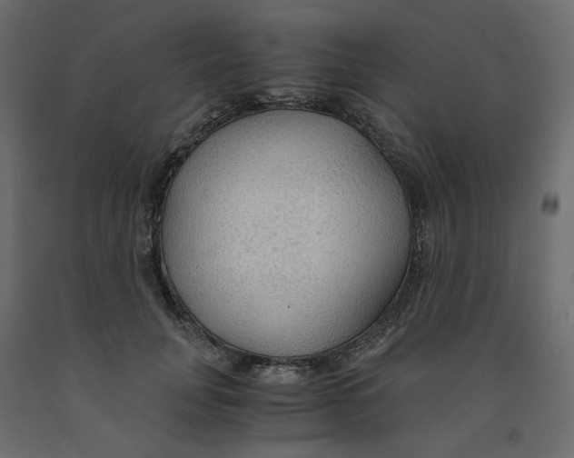 X0000091960751200710041028