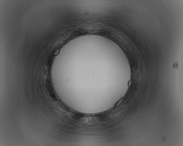 X0000091960752200710041028