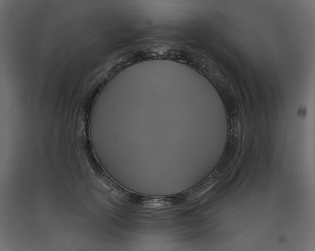 X0000091960754200710041028