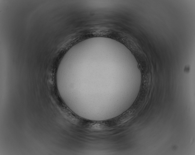 X0000091960755200710041028