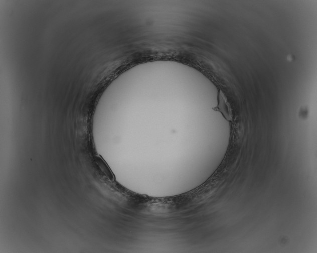 X0000091960756200710041028