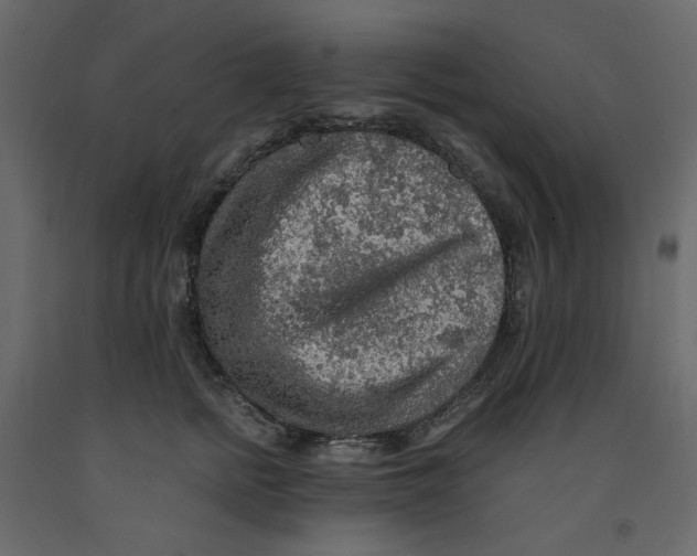 X0000091960758200710041028