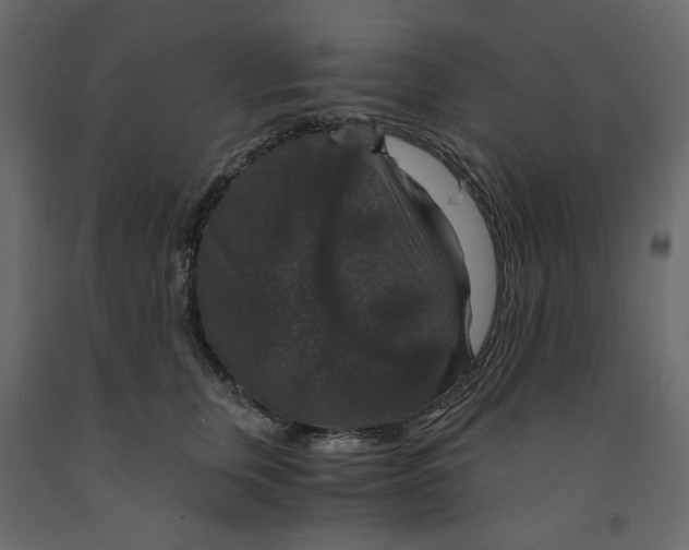 X0000091960759200710041028