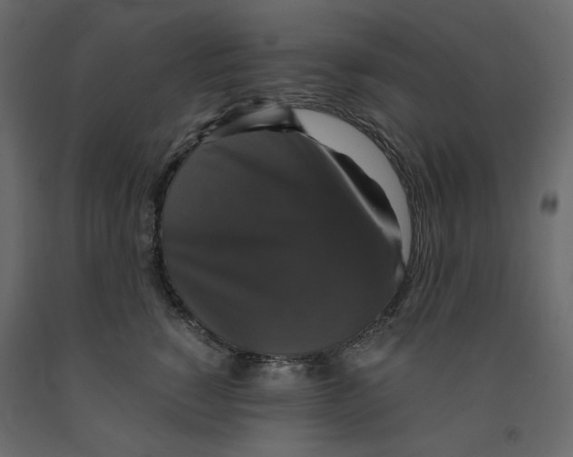 X0000091960760200710041028