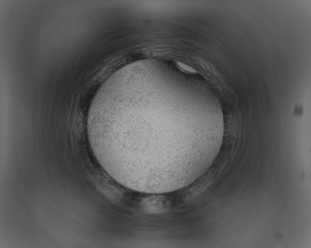 X0000091960761200710041028