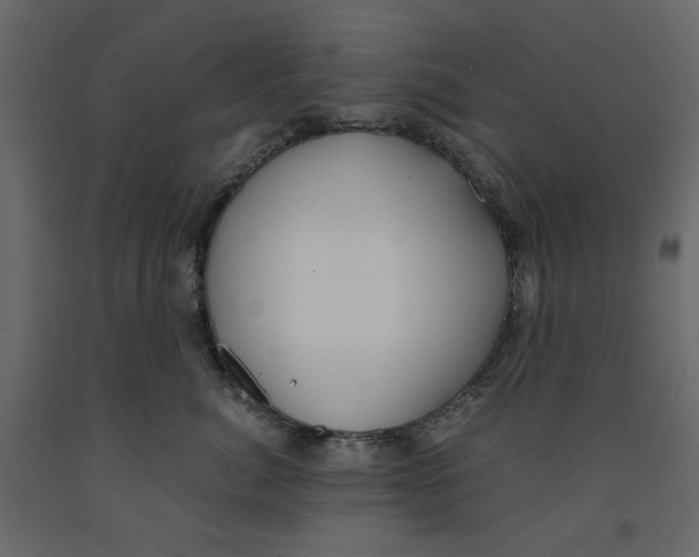X0000091960764200710041028