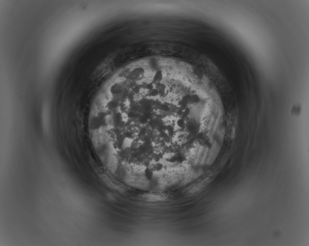 X0000091960765200710041028