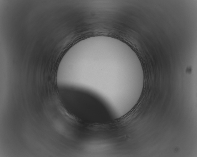 X0000091960766200710041028