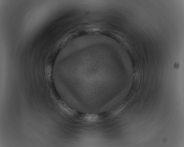 X0000091960767200710041028