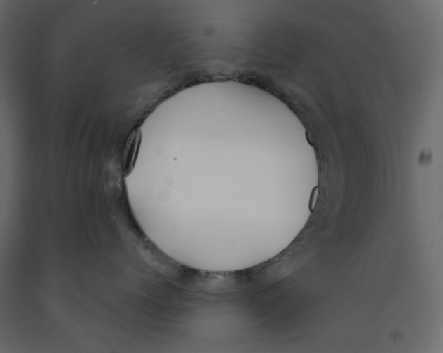 X0000091960768200710041028