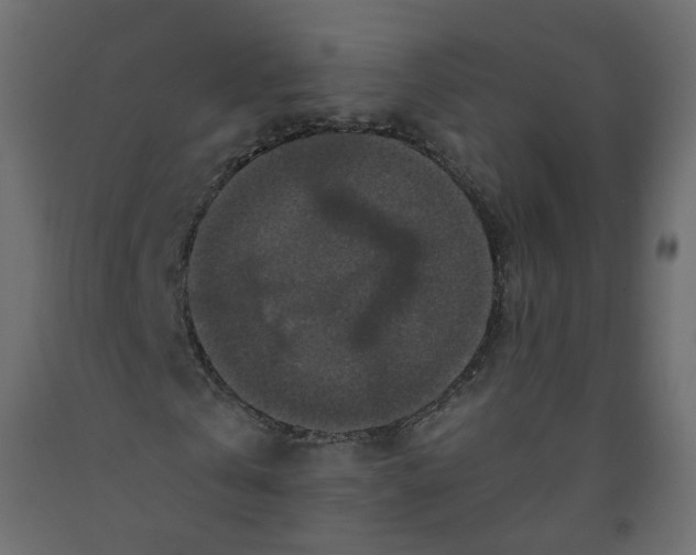 X0000091960769200710041027